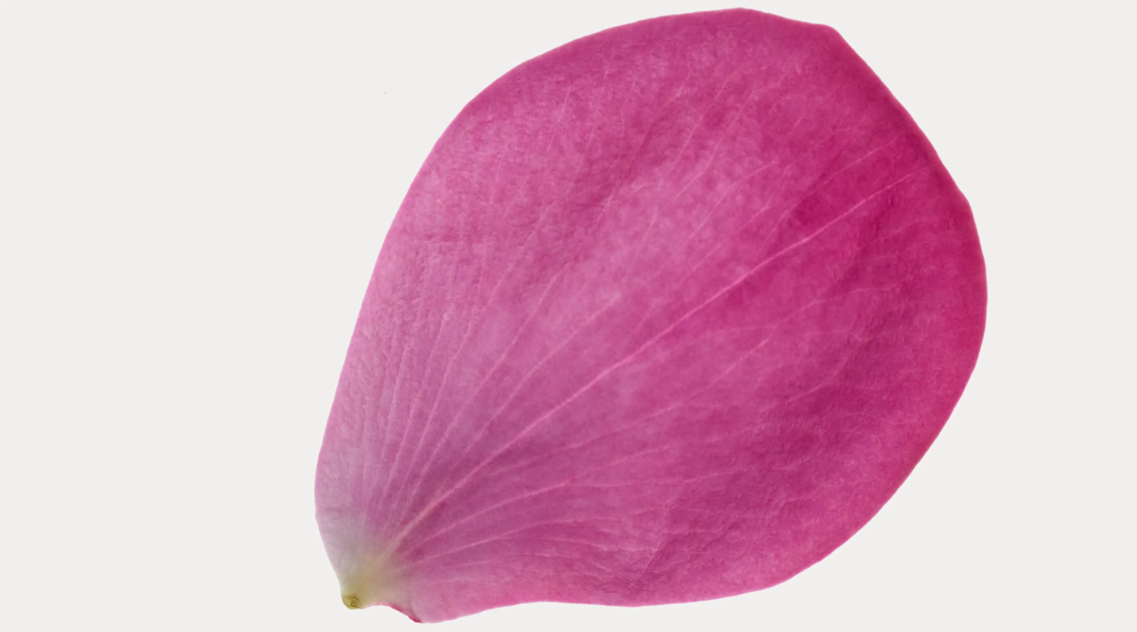 Skin First. Makeup Second.