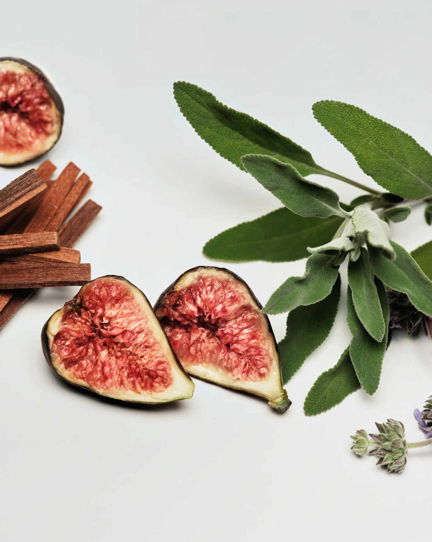 Daily Perfecting Lotion - Image 13