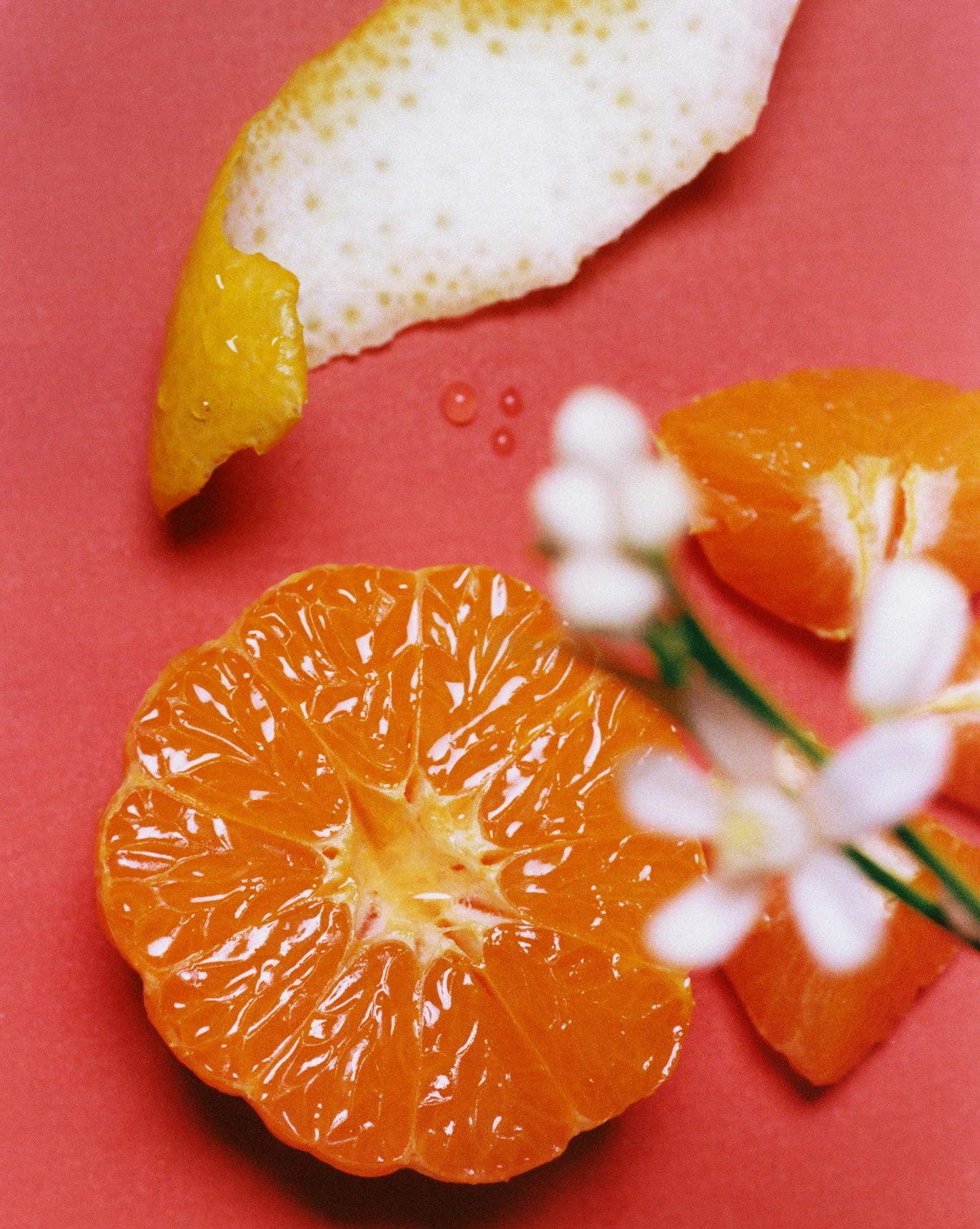 Daily Perfecting Lotion - Image 4