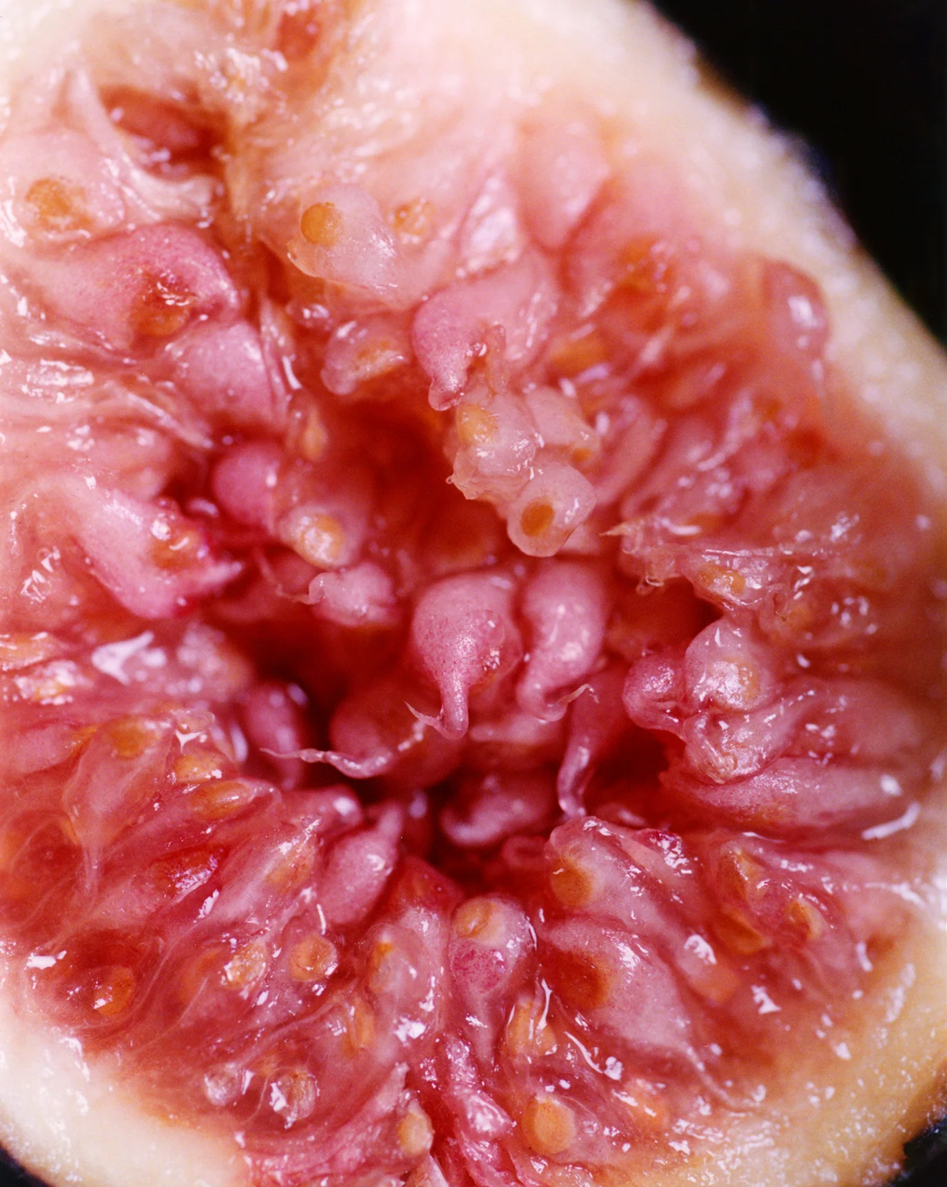 Body Spritz - Image 17