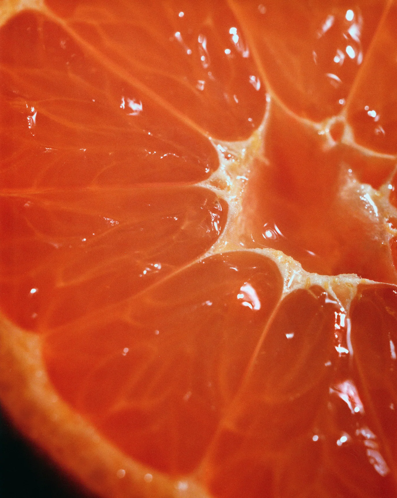 Body Spritz - Image 7