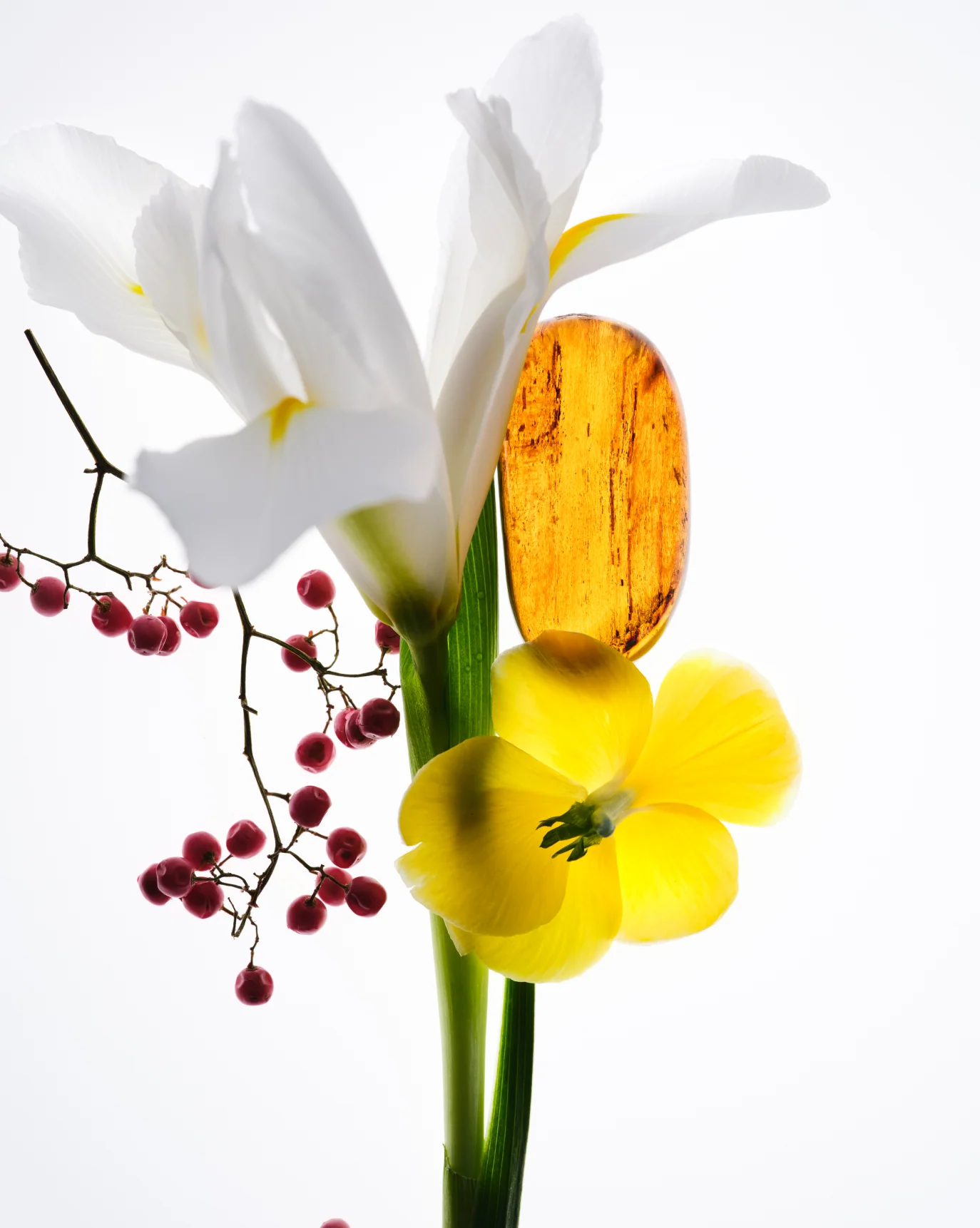 Crème de You + Glossier You - Image 5