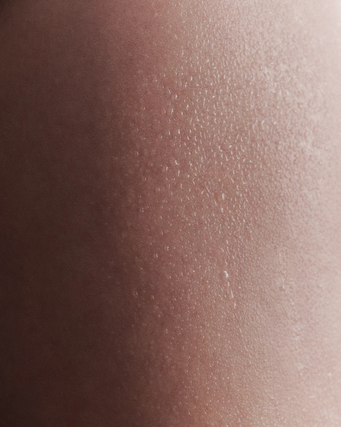 Crème de You + Glossier You - Image 9