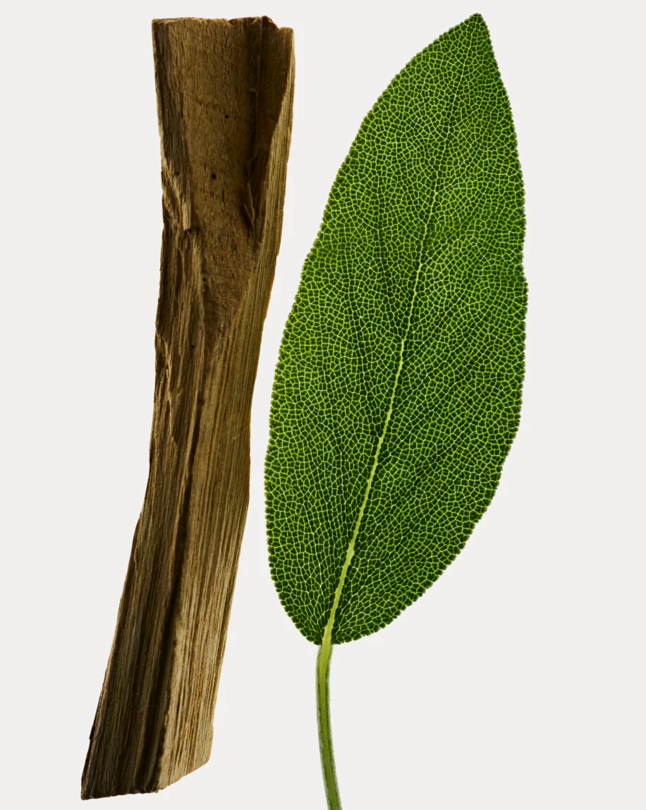 Deodorant Refill Stick - Image 11