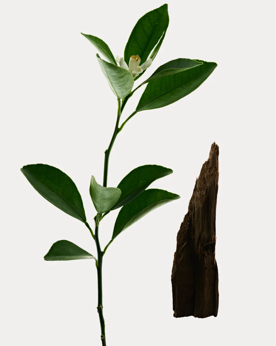 Deodorant Refill Stick - Image 17