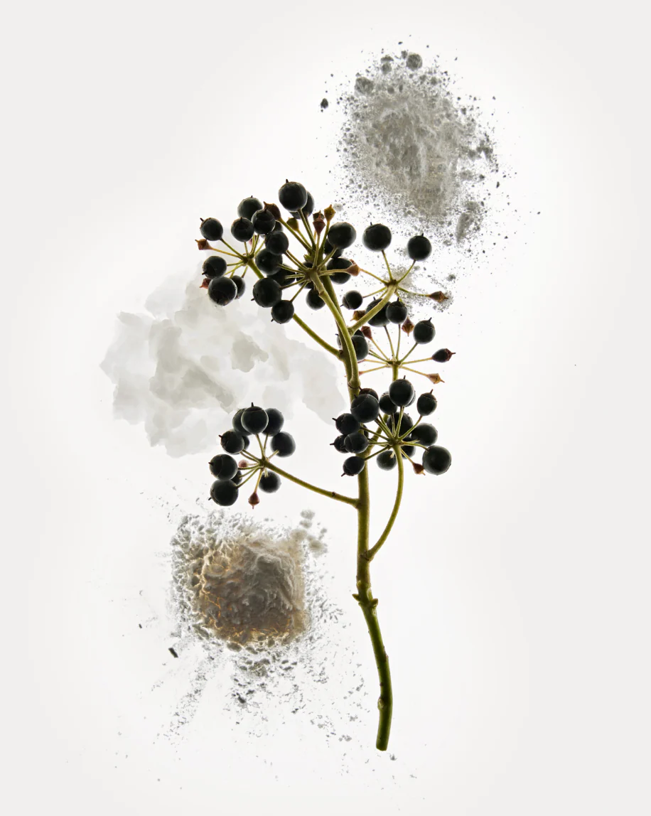 Deodorant Refill Stick - Image 4