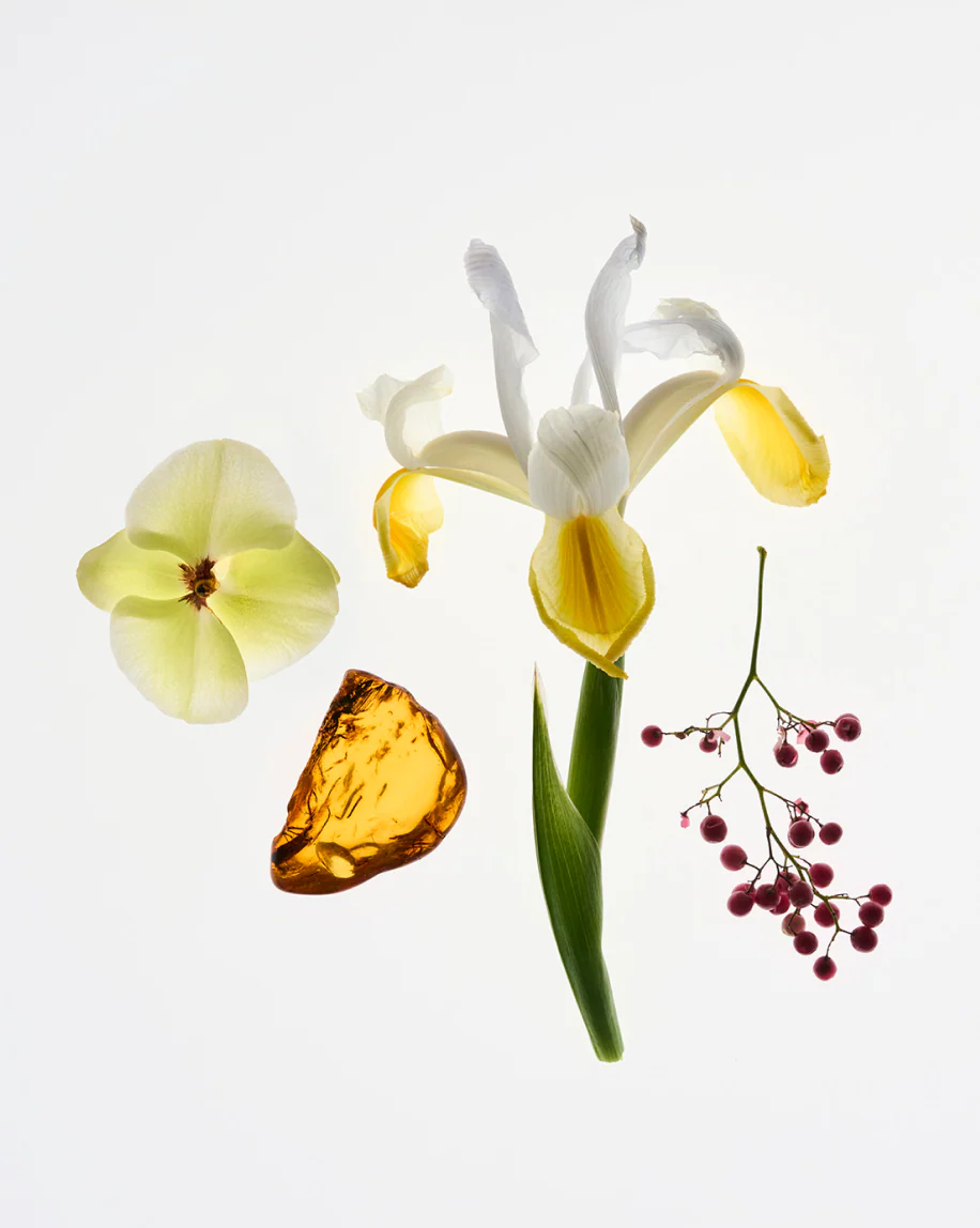 Glossier You Solid - Image 4