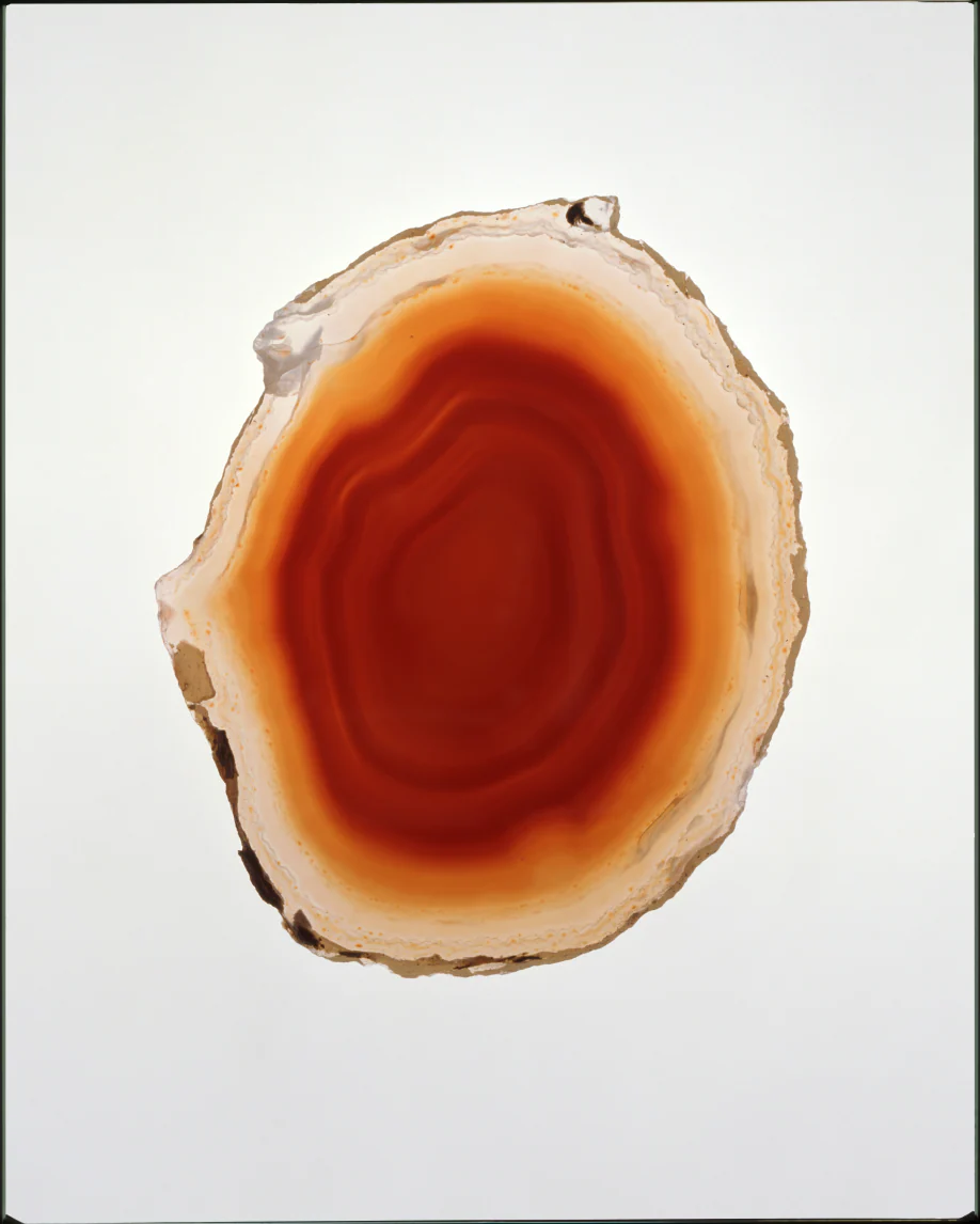 Monochromes - Image 69