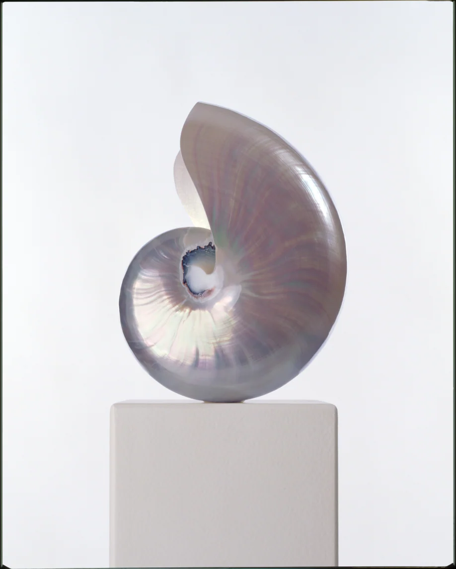 Monochromes Refill - Image 28