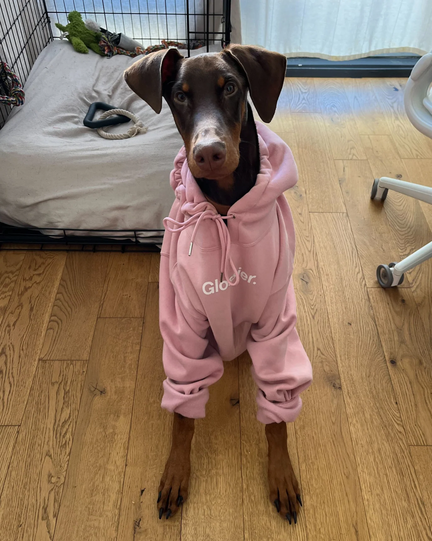 Original Pink Hoodie - Image 3
