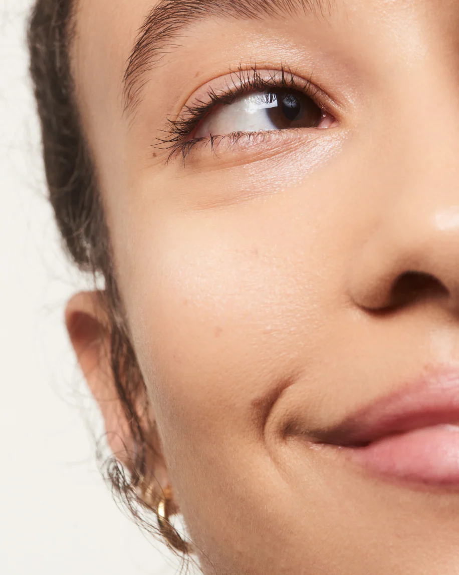 Wowder Brush - Image 4